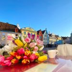 Tallinn, Estonia: una Pasqua incantevole tra le storiche mura della Città V…