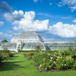 Chelsea Flower Show 2024 e i giardini del Kent. In viaggio con iO Dona