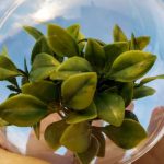 L’industria del travel unita contro il cambiamento climatico