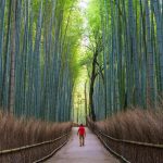 Pinterest: il report dei viaggi dell’estate 2024