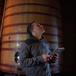 Vino, produzione ai minimi dal 1961 e aumento dei prezzi: costa sta succede…