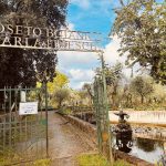 Alla scoperta del Roseto Botanico “Gianfranco e Carla Fineschi”: un viaggio…