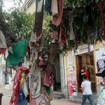 Capaci di guardare con gli occhi dei più piccoli. Appunti di viaggio di una…