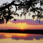 Le avventure di ELLE…in Georgia