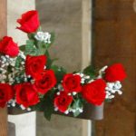 Viaggio a Lubiana, Gorizia e Trieste. Memorie portate alla luce dagli alunn…