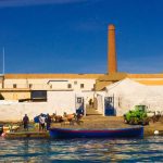 Viaggio nel regno del tonno: a Carloforte tra crisi e tradizione