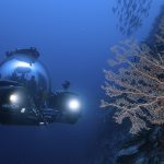 I viaggi sottomarini stanno riprendendo, un anno dopo il disastro del Titan