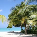 dove alloggiare, cosa mangiare e bere